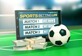 1xBet O Guia Completo para Apostas Online 369942519 1xBet O Guia Completo para Apostas Online 369942519