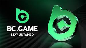 Comprehensive Guide to Payment Methods at BC Game