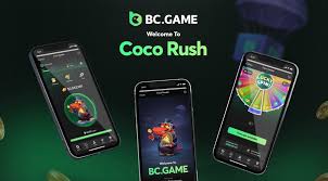 Exploring BC.Game Crypto Casino A New Trend in India