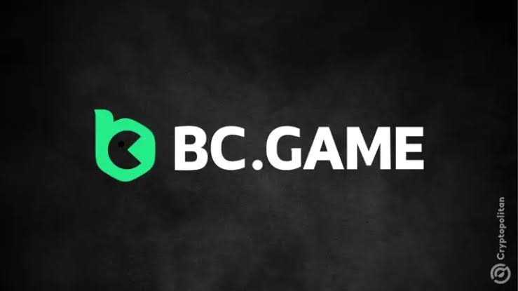 How to Contact BC.Game Support and Inquiry Guide